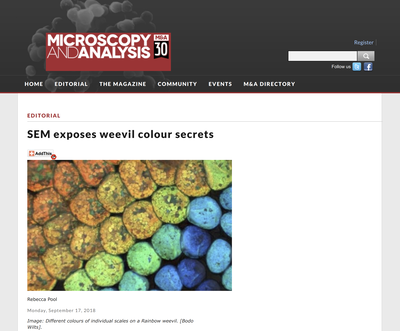 Microscopy AND Analysis